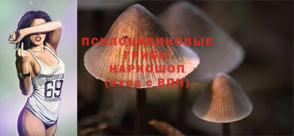 соль ск Абдулино