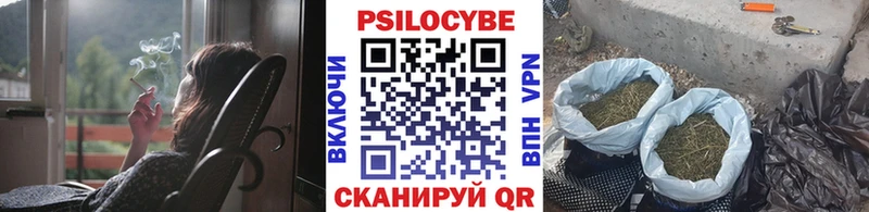 Псилоцибиновые грибы Magic Shrooms Электросталь